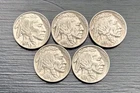 Lot Of 5 1936 P Buffalo Nickel Philadelphia Mint Full Date Horn And Tail Visible