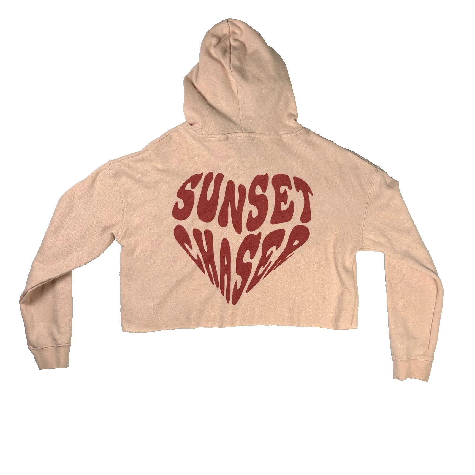 BACON LETTUCE TOMATO Crop Hoodie Women's Size Medium Long Sleeve Raw Hem