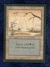 SWAMP (B)  1993 COLLECTOR'S EDITION  Magic the Gathering Unplayed   NM