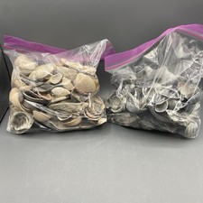 Black and White Assorted Oyster Shells - Approx 6lb