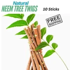 Neem Tree Twigs Natural Neem Datun Organic Toothbrush - 10 Sticks, FREE SHIPPING