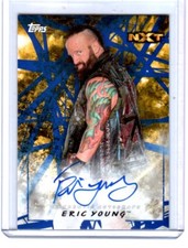 2018 Topps WWE Road to WrestleMania Trading Cards 24