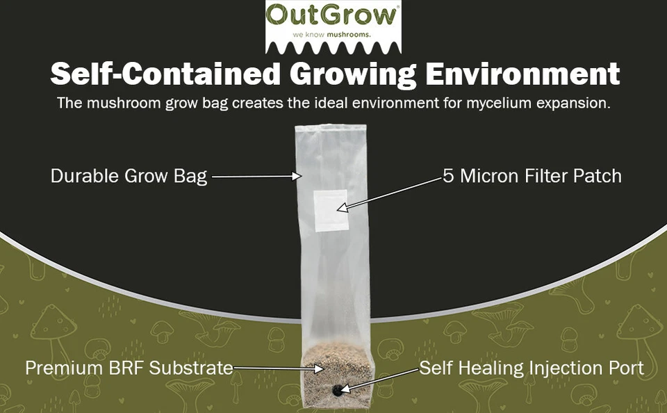 BOLSAS BRF Bolsas de cultivo de sustrato de setas para harina de arroz integral / La venta es de 24 bolsas Foto 4 de 4