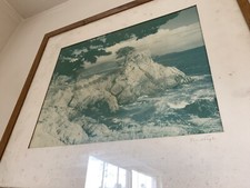 Foto de Don Krogh Monterey Cypress Guijarro Beach California MEDIADOS DE SIGLO era moderna