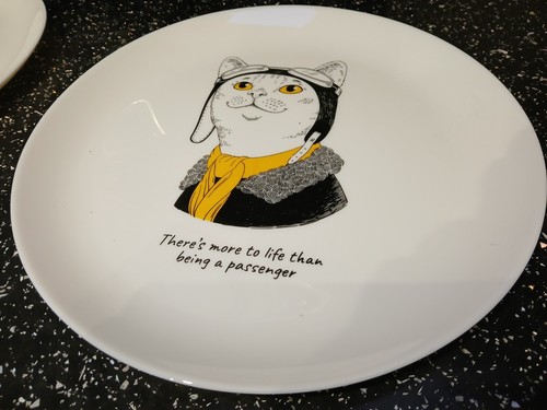 PIASTRA AVIATORE ARCOPAL - CITAZIONE ECCENTRICA - Foto 1 di 2