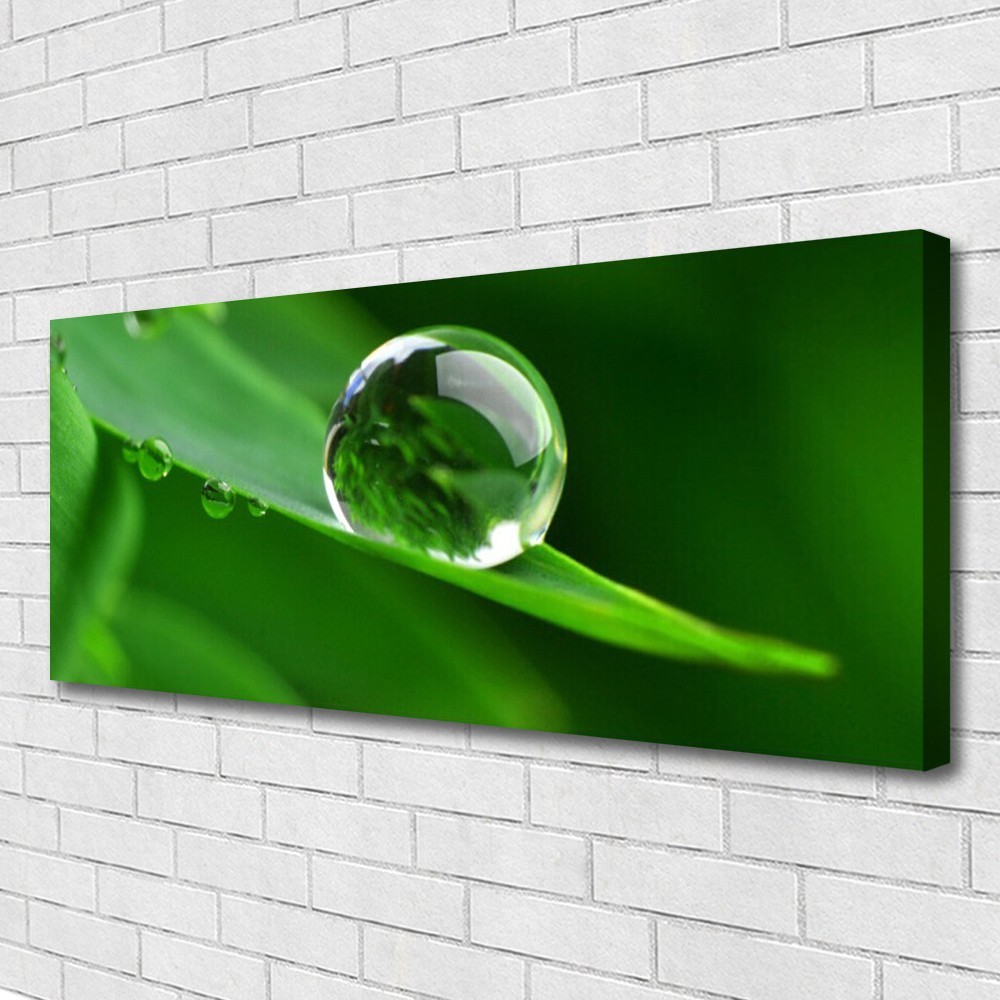 Impression sur toile 125x50cm premium grand tableau végétal feuille et goutte d'eau