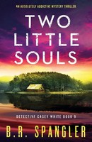 Two Little Souls An Absolutely Addictive Mystery Thriller B. R. Spangler Buch