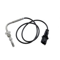 NTY Abgastemperatursensor Passend FüR Ford KA RU8 1.3 Tdci Fiat 500 312_ 169