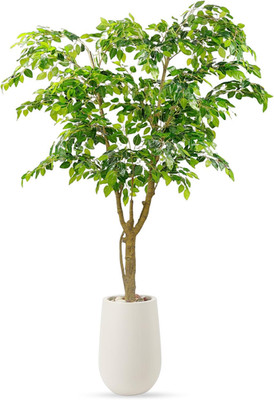 6.5FT Artificial Ficus Tree with White Planter and Pebbles,Faux Silk Tree with L
