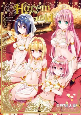To Love-Ru Darkness Harem Gold Art Book Illustrations + Case 10th anniversary JP