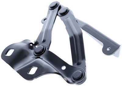 DORMAN OE SOLUTIONS 820109 Hood Hinge