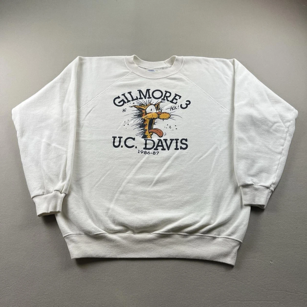 Hanes Hoodies & Sweatshirts for Men with Vintage for Sale - Shop 