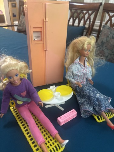 Vintage 1980s Mattel Barbie & Ken Playset, Furniture, & Wardrobe Trunk-Huge Lot