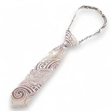 The Matching Tie Guy Paisley Slide On Necktie Microfiber 6-18mo 9" L - 1.75" W