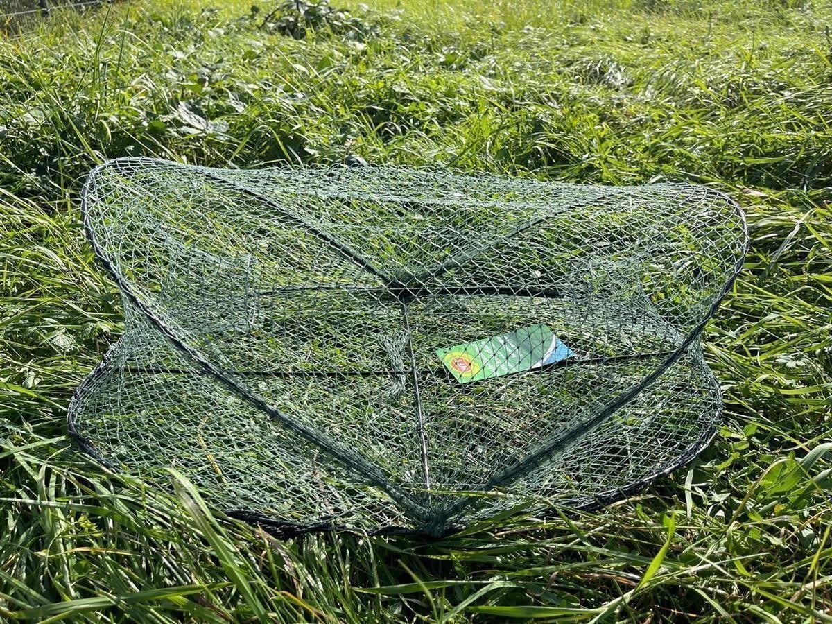 В случае с Кедерфишрейз-Альрейз Цвейкелиг-фальтбар очень строгий