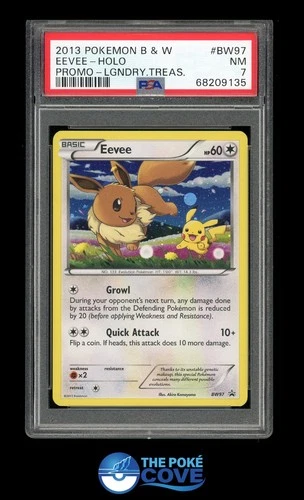 Eevee BW97 Holo Promo PSA 7 | POP 58 - POP 2 in a 10! | Legendary Treasures