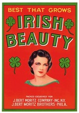 ORIGINAL CRATE LABEL IRISH BEAUTY LASS PHILADELPHIA NEW YORK 1950S IRELAND 