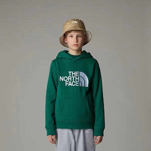 Felpa Bambino Junior The North Face Boys Drew Peak Hoodie A89HH NL1 Verde - Imagen 3 de 4