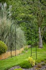 Metal Garden Arches - Archway Arbour Plant Rose Supports