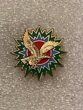 Insigne Armée de l'Air - Forces Aériennes Tactiques 1ere RA METZ Charognard doré