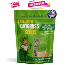 Fresh 1lb Cat Grass Seeds - Non-GMO Wheatgrass for Feline Digestive Health