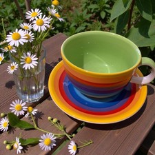 Hand Painted Windhorse Tea Cup An Saucer