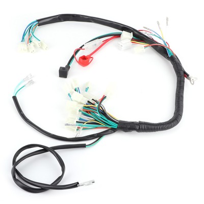 _Engine Start Wire Wiring Harness Loom For 50cc 110cc 125cc PIT Quad Dirt Bike A