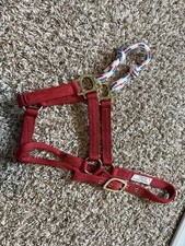 Nylon Horse Halter Medium Horse Hybrid Noseband