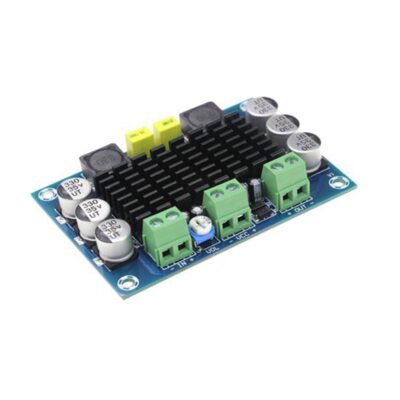 XH-M542 TPA3116D2 100W Digital Amplifier Board Digital Audio Power 12-26V DC