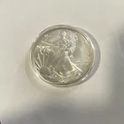 U.S. Mint 2010 American Silver Eagle 1 oz Coin .999 Fine Silver Uncertified