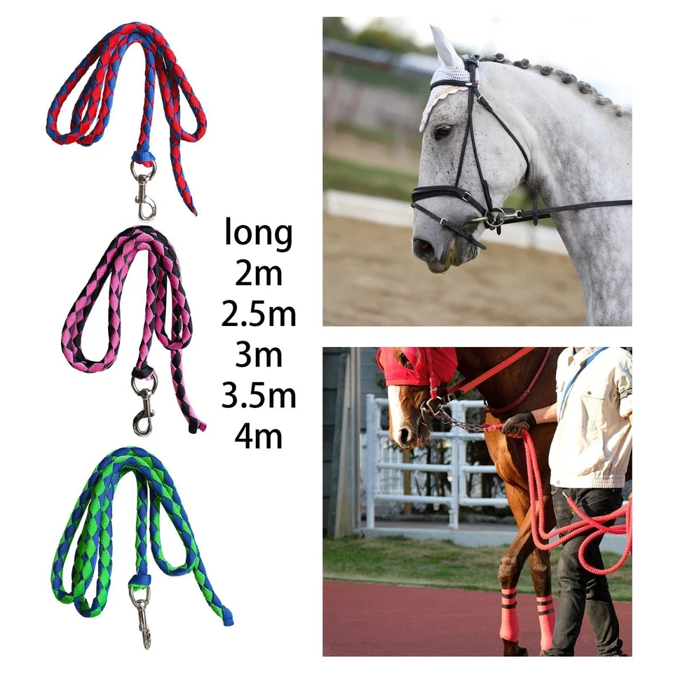 Premium Horse Rope Leash Rein Heavy Duty PP Material Webbing Training Equipment - Bild 1 von 1