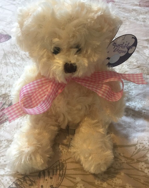 teddy bear white dog