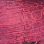 Disney Burgundy Shawl Scarf One Size Rayon Fringe 22x66” — photo 4