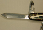 Victorinox Swiss Army Folding Pocket Multi Tool Knife 10 Function,Cameo — photo 6
