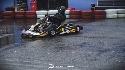 Electripet Electric Go Kart 72V 12000W 49.7mph Experience Speed