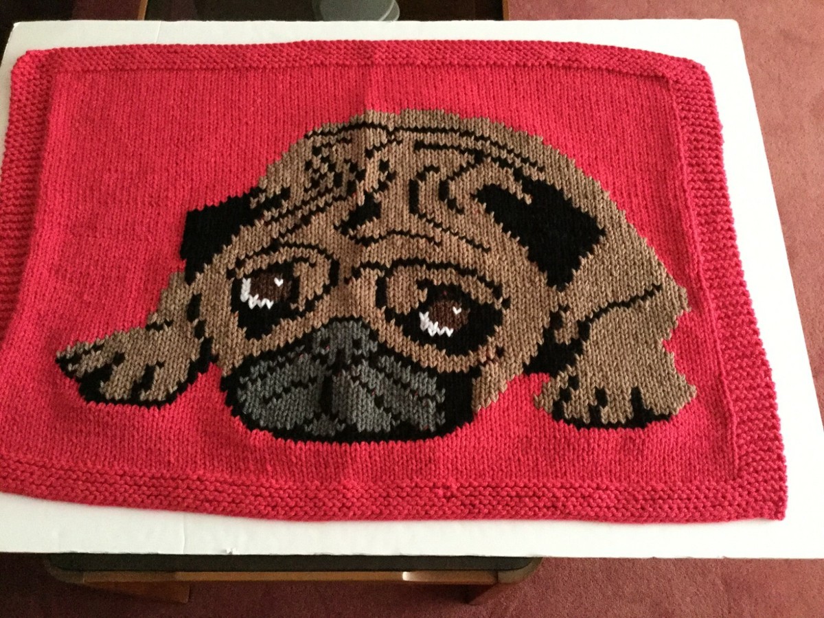 New hand crafted chunky dog blanket in cerise pink ft a Size