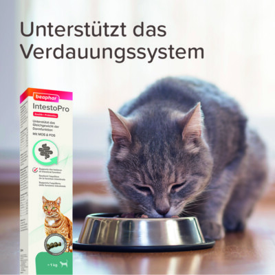 Beapar Intesto Pro | Präbiotika MOS & FOS | Unterstützung der Darmfunktion Katze