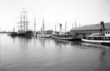 1905-1915 Fish Dock, Pensacola, Florida Old Photo 11" x 17"