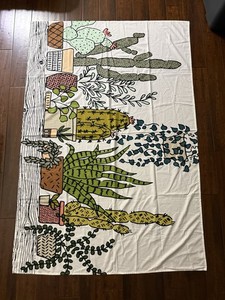 Cactus Tapestry Room Essentials, Backdrop, Home Décor, Wall Hanging 70 x 47”
