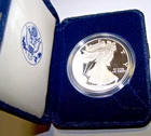 2001 Proof $1  One Dollar American Silver Eagle  in Hard shell snap case.
