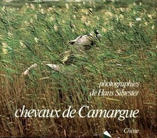 Chevaux de Camargue - Hans Silvester - V2270154