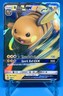 Raichu GX SM213 Black Star Promo Holo Foil Pokemon Card TCG 2019 NM-Mt FREE SHIP