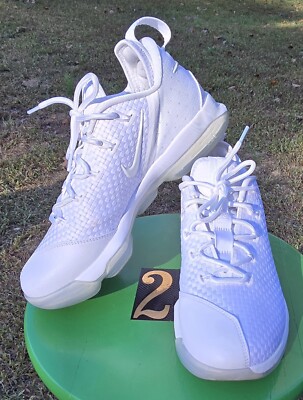 Basketball Lebron James Shoes Low Top Nike Lebron James XIV 14