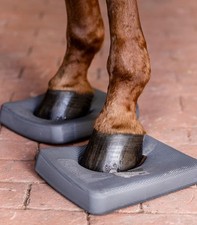 Balance Pad Waldhausen Health Care Pads Gleichgewicht  Bodenarbeit Training