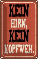 Blechschild 18X12 Cm Kein Hirn Kopfweh Dekoration Spruch Zitat Deko Geschenk Met