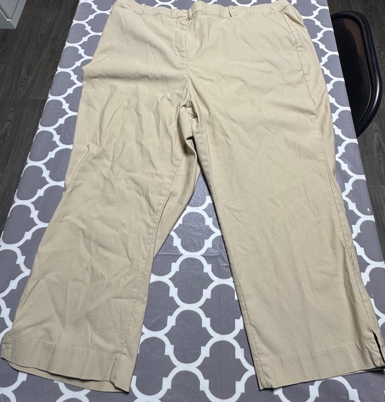 Lane Bryant Trouser Pants Size 26 Stretch waist Khaki