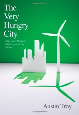 The Very Hungry City : Urban Energy Efficiency and the Economic F