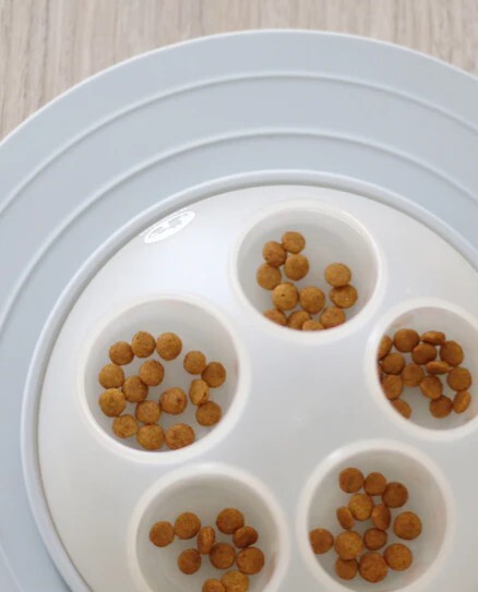 Distributeur de friandises pour chat pour l'occuper pendant votre absence