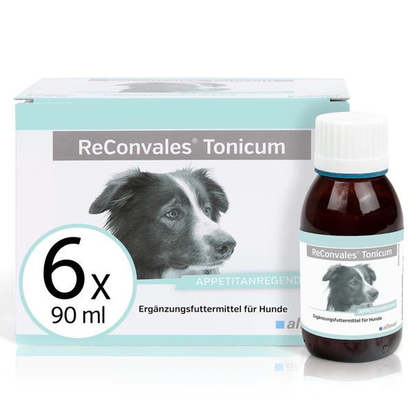 Reconvales Tonicum Hund 6X90 Ml Alfavet DiäT-ErgäNzungsfuttermittel-image