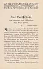 Polowanie na rekiny przed Key West, Dry Tortugas - Hist. Raport z 1906 roku